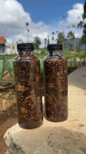 Biang spora jamur jakaba 250gr pupuk organik full jamur