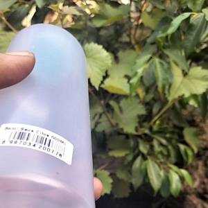 Botol Kecap 600ml & Botol Saus Murah: Pilihan Praktis untuk Rumah Tangga