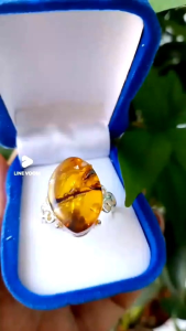 ก-10 แหวนเงินแท้ 925 ฝังอำพันพม่าแท้ทำโดยช่างไทย อำพันพม่า ฟอสซิลยางไม้กลายเป็นหินธรรมชาติจากประเทศพม่า เมืองคะฉิ่ง