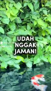 BOTOL PARFUM PRAKTIS PORTABLE