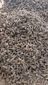 Củ tam thất bắc khô - 500gr - Hỗ trợ giảm u tiêu viêm lành vết thương