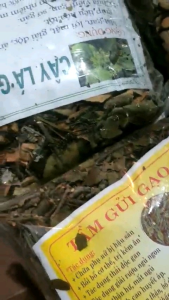 Cây lá gan rừng - Túi 1kg - Giúp hỗ trợ giảm mỡ gan thải độc hạ men gan thảo dược thiên nhiên của núi rừng Tây bắc