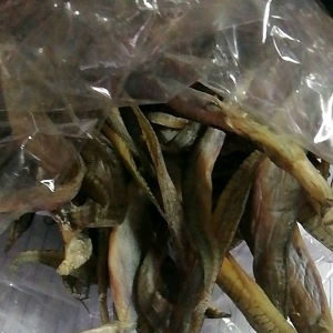 ปลาหลดพม่าตากแห้ง700.-