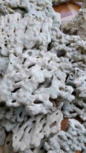 คุณสมบัติและคุณประสบการณ์ 5 นิ้ว ตกแต่งตู้ปลาทะเล หินแผ่นปลาทะเล สะอาด บำบัดด้วยเทคนิคธรรมชาติ Rock Organic