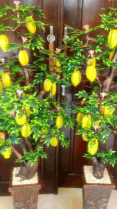 Pohon Blimbing Artifisial 130cm: Tanaman Dekorasi Ruangan