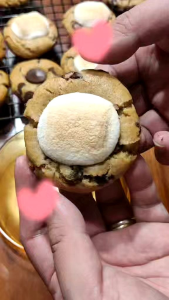 Smore Cookie by Wild Krumbz (50 grams)