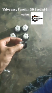 Valve Assy Sanchin 30 1 set isi 6 valve