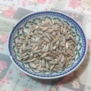 RAW Sunflower Seeds / Kuaci Bunga Matahari / 太阳花籽 ( HALAL ) REPACKING SIZE 250g