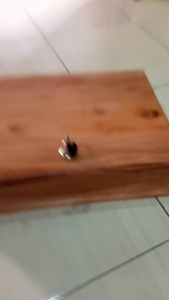 Kotak Penyimpanan Pakaian Kesenian Silat