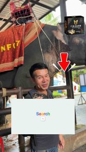 สบู่นวดน้อง นวดเฉพาะจุด สบู่ฟินฮัมโฉมใหม่ สบู่ชาย ฟองนุ่ม นวดฟองฟู สมุนไพรผสมน้ำมันจิ้งเหลน เรียกความมั่นใจคืนมา ลดกลิ่นอับ ฟองเยอะ นุ่มหนา ยิ่งนวดฟองยิ่งเยอะไม่มีหมด ใช้เป็นประจำเช้าเย็น 3-5 นาที แล้วมาสัมผัสผลลัพธ์ด้วยตัวเอง ขนาดพรีเมี่ยม 30 กรัม พร้อมค