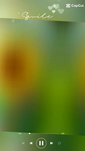 Túi đựng bình giữ nhiệt chất liệu bền đẹp size 9cm-20cm