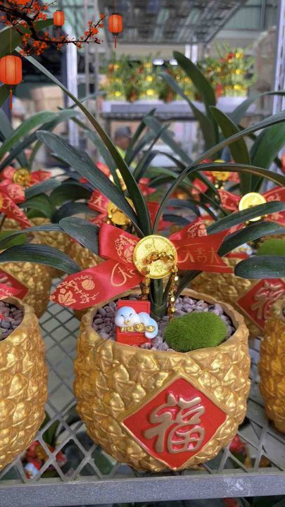 [CNY 2026] TKL - 12 Chinese Zodiac with full decoration set [CNY 2026 ...