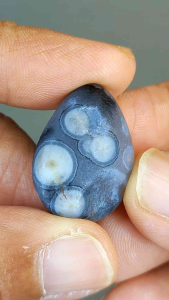 มาดากัสก้า อาเกต อายส์🔸Madagascar Agate Eyes