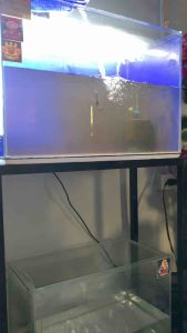 Aqua Shield 500ML and 1 Liter Aquarium Water Conditioner | Anti Chlorine
