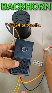 Backhorn with Selector Switch 4 Tones (Japan Tones): A Guide for Guitar Enthusiasts