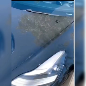 Tohuu Sun Shade Cover Kaca Mobil Pelindung Matahari UV 125x65cm - TH124 - Black