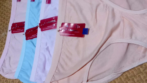 6PCS CELANA DALAM WANITA HONYTING WARNA MUDA POLOS M L XL XXL XXXL