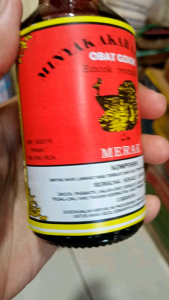 Minyak urut Akar lawang