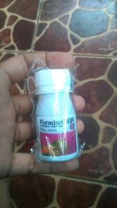 Serbuk Pembasmi Hama 72 gr Tanaman Ulat Cacing Kaki Seribu Botol Exlusif