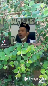 GARAM BIDARA RUQYAH ARROJABIAH 1Kg: Garam yang Sudah Diruqyah Oleh Pakar Ruqyah Nasional