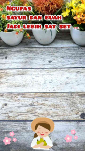 Pengupas Kulit Buah & Sayur Baja Tahan Karat Sus304