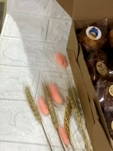 [ 50 PCS ] MUFFIN TULIP CUPCAKE uk 8 x 5 cm ~ FOOD GRADE