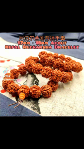 Natural Five Petaled Nepal Rudraksha Bracelet 17mm-18mm about/天然五瓣尼泊尔金刚菩提