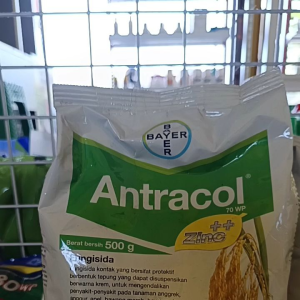 Fungisida Antracol 70WP 500g