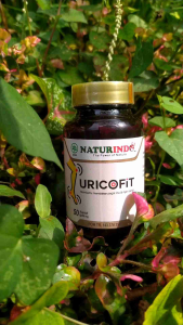 Uricofit asam urat nyeri otot dan sendi radang sendi peluntur kristal