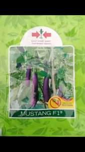 Repack Benih Terong Ungu Mustang F1