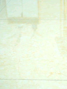 Tali Sepatu Elastis Pipih 6mm Dengan Capsulelock System