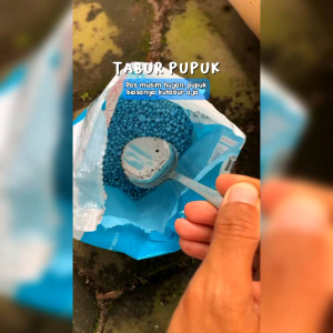 PUPUK NPK 16-16 CAP TAWON PUPUK SAYURAN BUAH DAN BUNGA