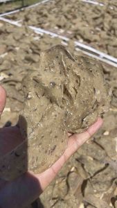 Keropok Ikan Tamban Asli Terengganu (300g) / Keropok Pengkalan Setar Terengganu / Keropok Ikan Keping / Keropok Ikan Terengganu / Keropok Sedap / Keropok Viral / Keropok Ikan Natrah / Keropok Natrah / Fish Crackers / Ikan Tamban / Ikan Parang