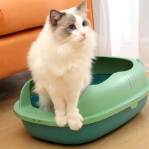 กระบะทรายแมว