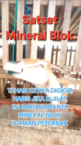 Mineral blok - Satset mineral blok 1kg - mineral untuk sapi - mineral untuk kambing - mineral untuk domba - mineral block - permen wedus - vitamin sapi - vitamin domba - vitamin kambing - mineral - mineral kambing - mineral sapi - mineral domba - krp