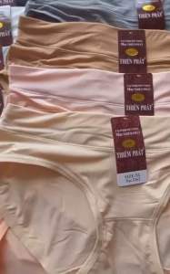 Combo 5 - 10 Quần lót thun lạnh nữ Mã 3262 lưng vừa mềm mịn co giãn