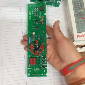 Bo quạt cây media