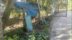 Bộ dây đan giường xếp giường gấp gọn ( ngang 07m× dài 19m trở lại)