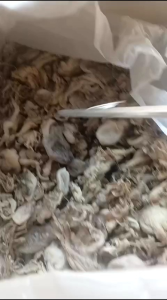 Gurita Asin Kering Super 100 Gram: Aneka Makanan & Penyajian