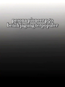 BENIH JAGUNG HIBRIDA PIONEER P40 KEMASAN 1KG