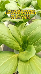 PESTISIDA ORGANIK CAIR stella green pembasmi hama merugikan untuk semua tanaman terlaris termurah kemasan 500 ml