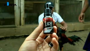 LICHI Plus Hormon Birahi Kawin Ayam Jantan Betina