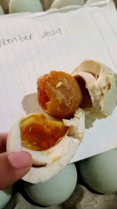 BISA (COD)Telor Asin masir dan berminyak isi 10 butir ukuran sedang fress freee bubble warp