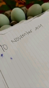 BISA (COD) Telor Asin masir dan berminyak isi 6 butir ukuran sedang free bubble warp