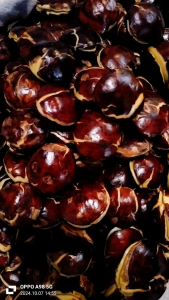 jengkol mentah jengkol semur jengkol goreng jengkol lalap