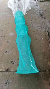 Dớn bắt cá ( ĐK 40cm Đăng Trắng 3 hôm )