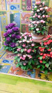 Bunga Plastik Model Bonsai: Desain & Dekorasi Interior