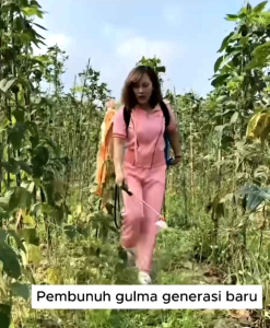 Kil Grass Raja Pembunuh Gulma Panda Isi 100ml - Beli 3 Gratis 1 - Tanaman