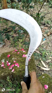 arit/sabit super tajam sampai kecil bahan full baja pir siap kirim ke seluruh Indonesia dijamin tajam dan kuat anti rompal dan mleot dijamin amanah sesuai gambar dan fotoasli bahan full baja pir original pilihan yang sangat cocok untuk Anda