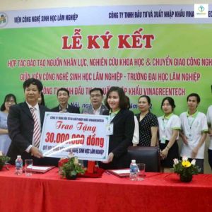 VinaGreenTech Tổ Yến Chưng Nhân Sâm Ginseng Nest 30% Hộp 10 Hũ VinaGreenNest Yến Sào Đông Trùng Hạ Thảo